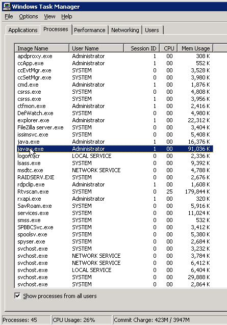 Javaw instances